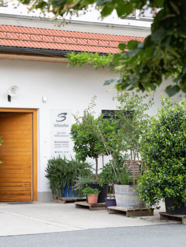 Herzlich Willkommen beim Weingut Scheucher